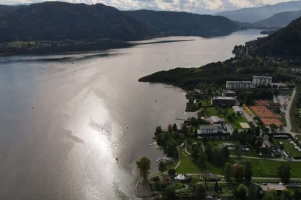 Ossiacher See News|Rettungsaktion für Wildkarpfen: Ein Hoffnungsschimmer am Ossiacher See