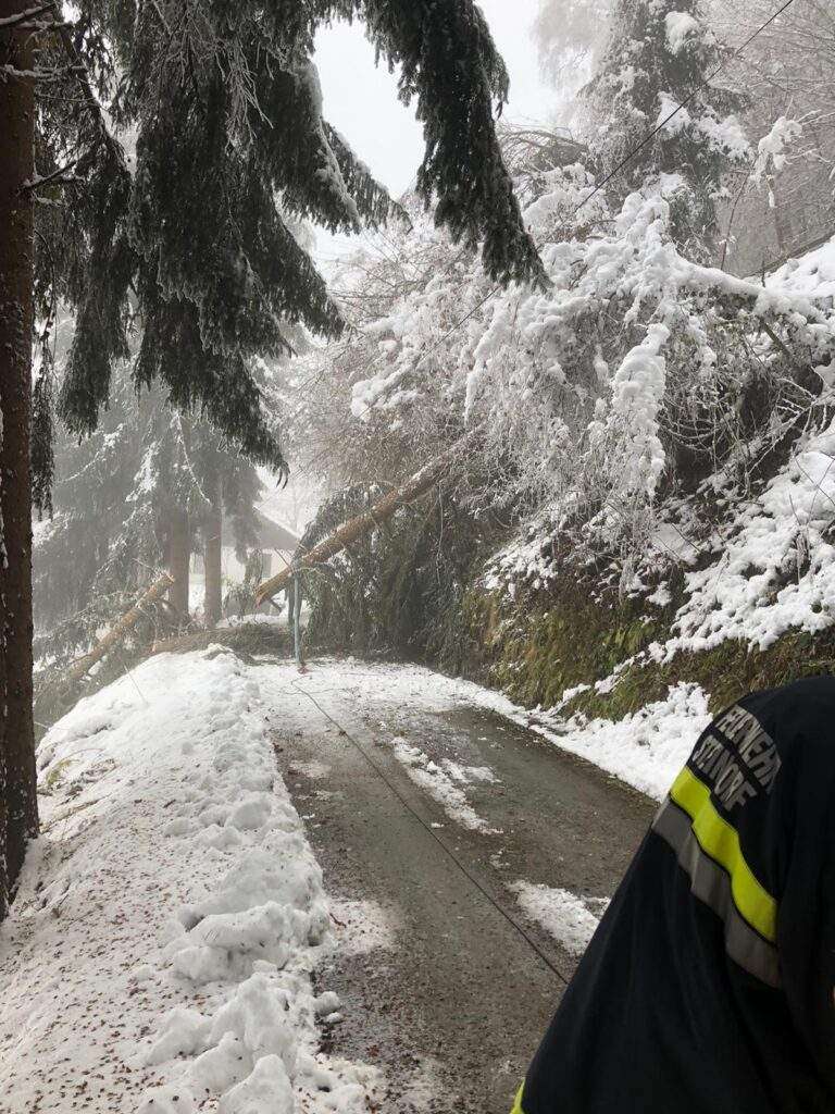 Ossiacher See News | Ossiachberg – Baum über Straße