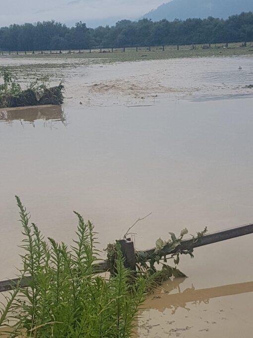 Ossiacher See News | Hochwasser verwüstet Dutzende Ortschaften