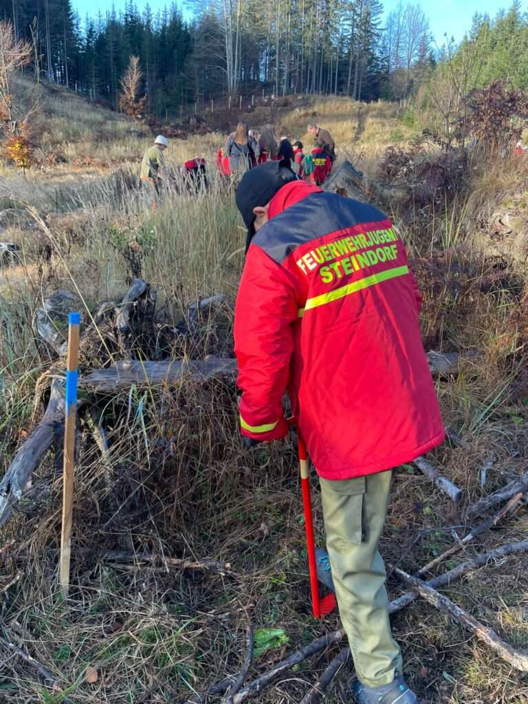 Ossiacher See News | Baumpflanzaktion der Feuerwehrjugend am Dobratsch