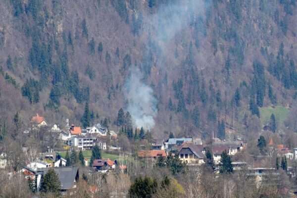 brand steindorf