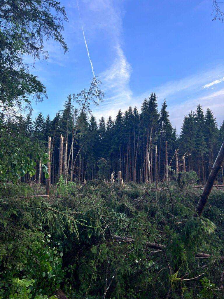 Ossiacher See News | Unwetterfront sorgte für mehrere Einsätze