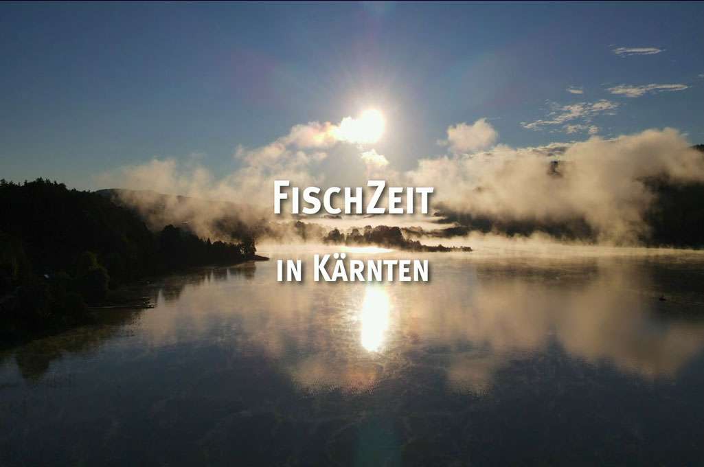 Ossiacher See News | Fischen am Ossiacher See