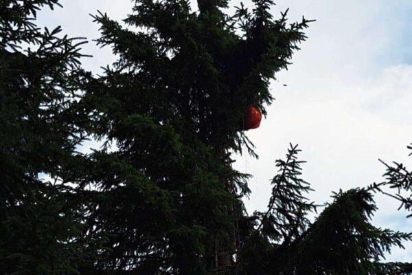 Ossiacher See News | Paragleiter auf der Gerlitzen aus einem Baum gerettet