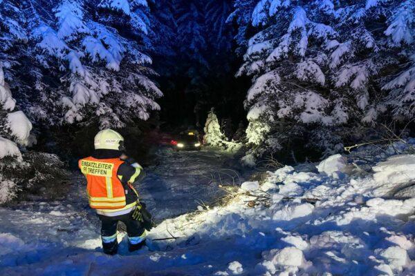 Ossiacher See News | Taxi 50 Meter in Wald geschlittert